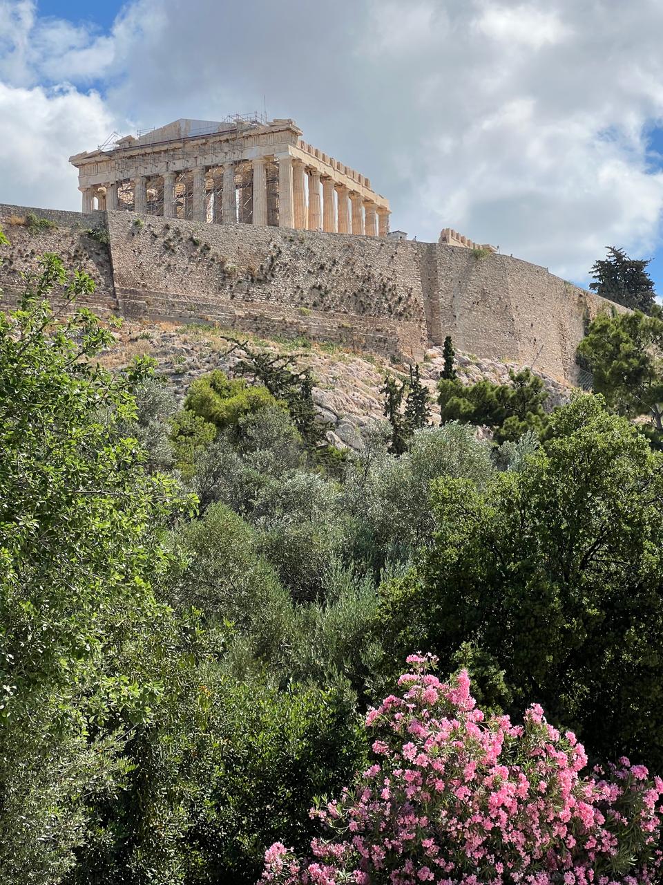 the acropolis rising above pink oleander