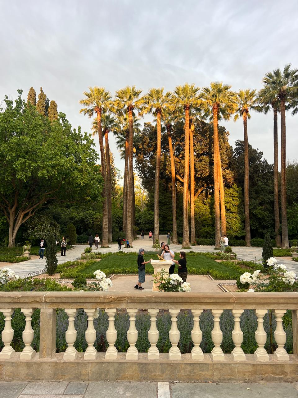 national garden palms at dusk